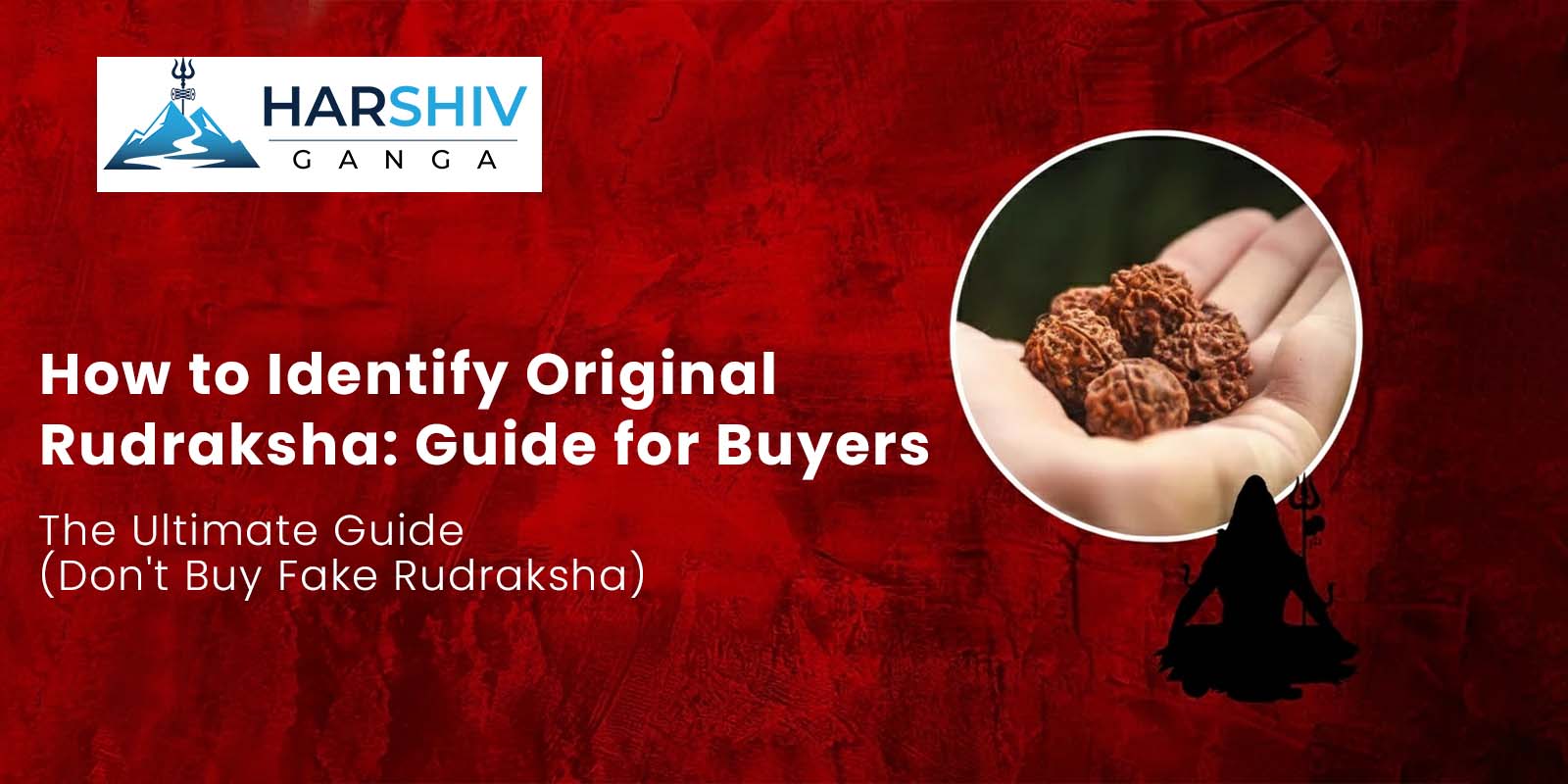 How to Identify Original Rudraksha – A Complete Guide by Harshiv Ganga